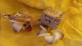 /album/dernieres-creations/a20140421-174549-lls-jpg/